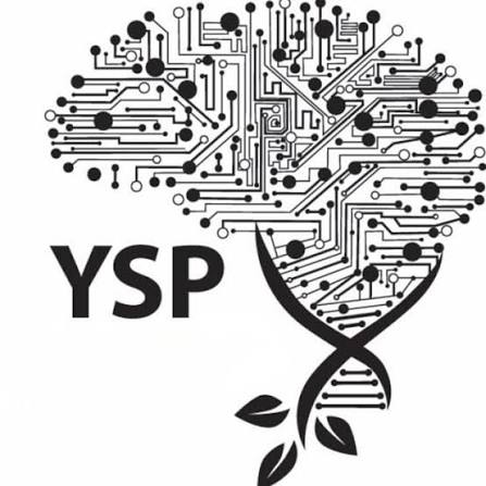 FSU Young Scholars Program